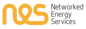 NES – Reliable IT & Software Development Solutions
